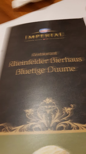Comentarii opinii despre Rheinfelder Bierhaus