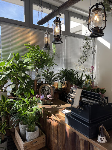 Opinii despre Blumen zum Glück Café Uerikon / Stäfa în Uerikon - Gastronomie und Hotellerie