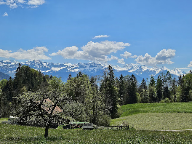 ob Sigriswil CH, Schwandenstrasse 65, 3657 Schwanden (Sigriswil)