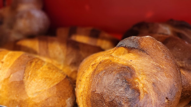 Comentarii opinii despre Lehmann