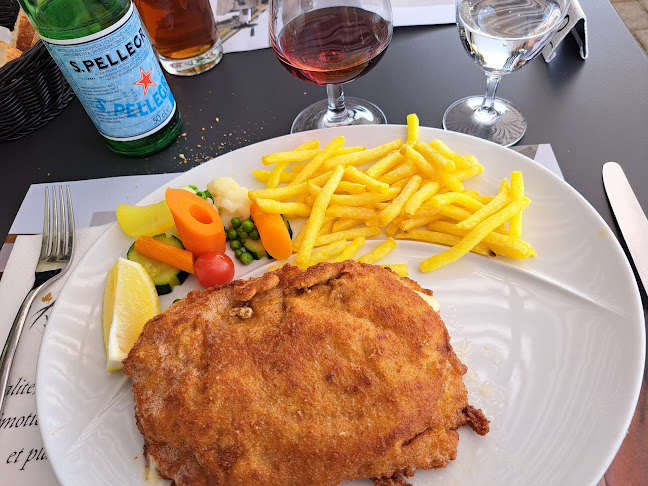 Comentarii opinii despre Chamois