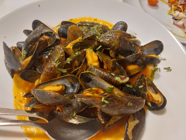 Comentarii opinii despre Avis Blutspendeverein