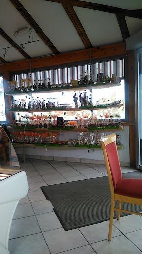 Igu Beck GmbH - Recherswil