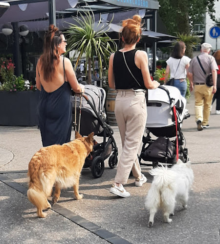 Opinii despre Caffè-Bar Centro Luini în Locarno - Gastronomie und Hotellerie