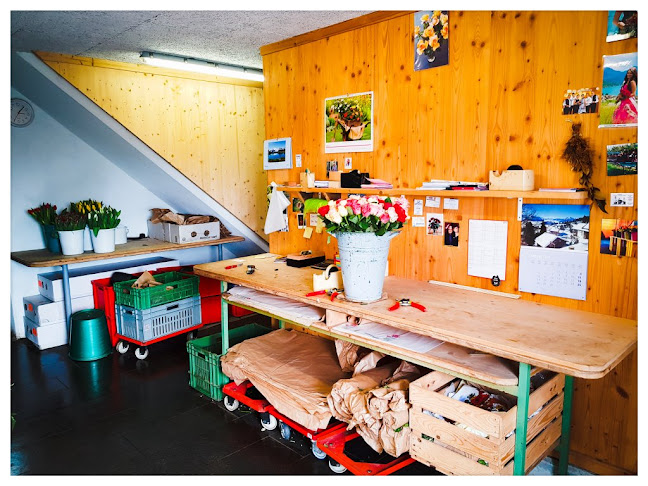 Weggiser Rosen Pfrunder