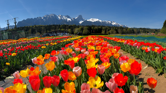 C. F. L. Lohnerstrasse, 3645 Gwatt