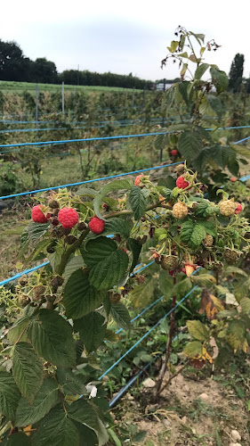 La Fraisière - Meyrin