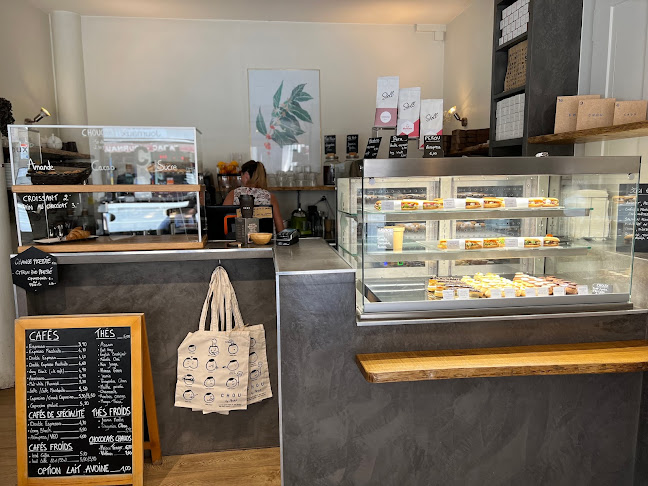 Comentarii opinii despre Chou