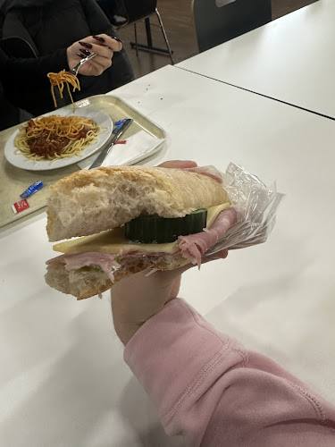 Comentarii opinii despre Gastronomie HSG