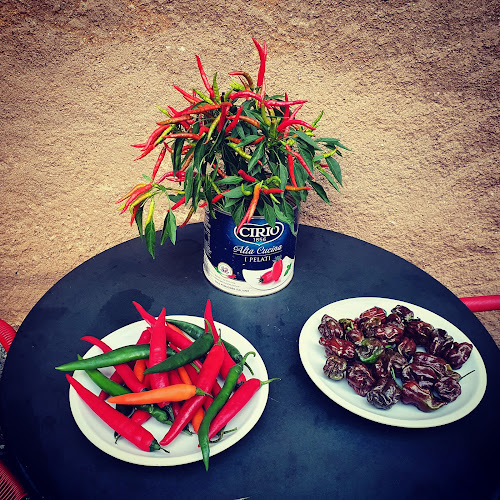 Corso Elvezia 8, 6900 Lugano