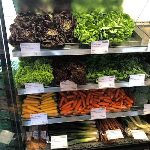 GnussBär - Thun - Gastronomie und Hotellerie