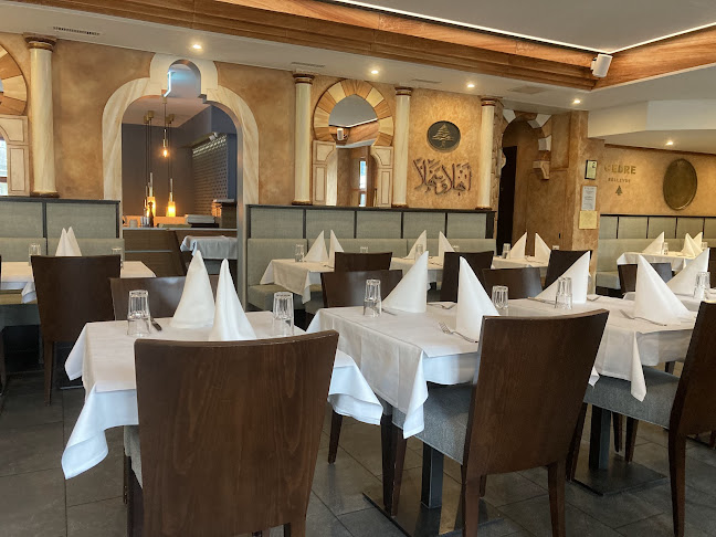 Restaurant Le Cèdre - Bellevue - Zürich