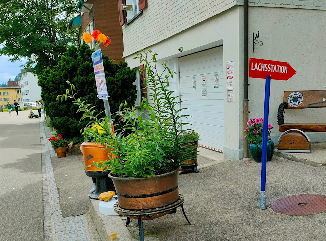 LACHSSTATION DEGERSHEIM