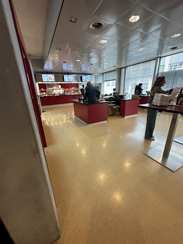 Comentarii opinii despre L'Ornithorynque