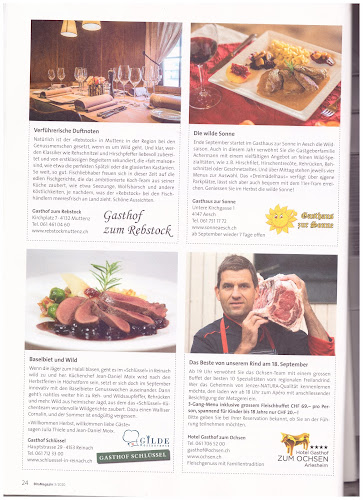 Comentarii opinii despre Gasthaus zur Sonne