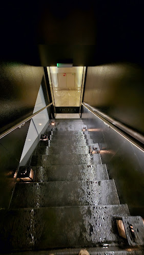 Comentarii opinii despre Le Bar des Bergues