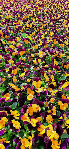 Point Vert Production & vente directe Saxon - Gastronomie und Hotellerie