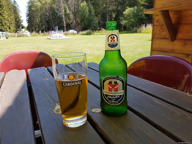 Clébard Palace - Crans-Montana