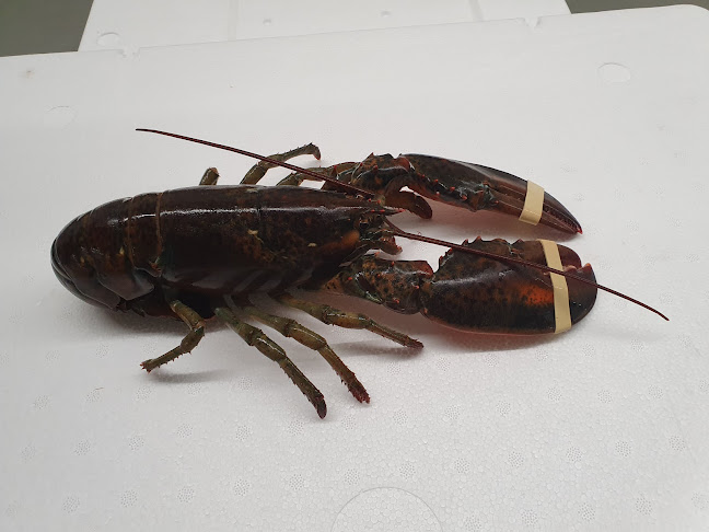 Comentarii opinii despre Annas Caffè Point