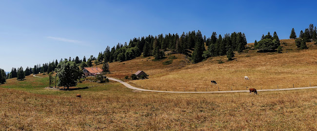 la Baronne - Gastronomie und Hotellerie