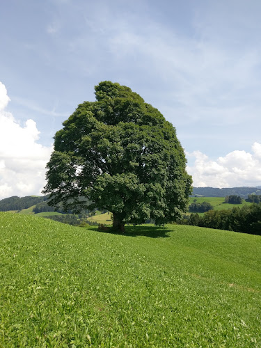 Austrasse 10, 8646 Wagen SG