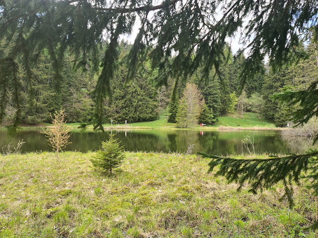 Hôtel Auberge du Lac-des- Joncs - Gastronomie und Hotellerie
