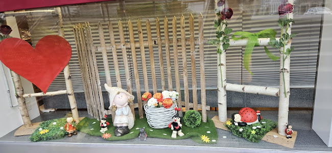 Comentarii opinii despre Fischbacher-Beck