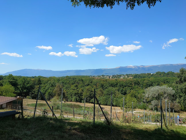 Rte du Bois-des-Frères 51B, 1219 Le Lignon