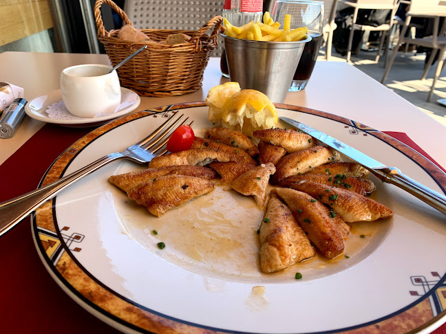 Opinii despre Restaurant du Club Nautique de Versoix în Versoix - Gastronomie und Hotellerie