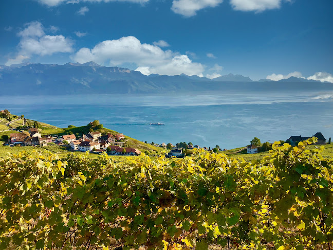 Domaine Vitis Musicalis