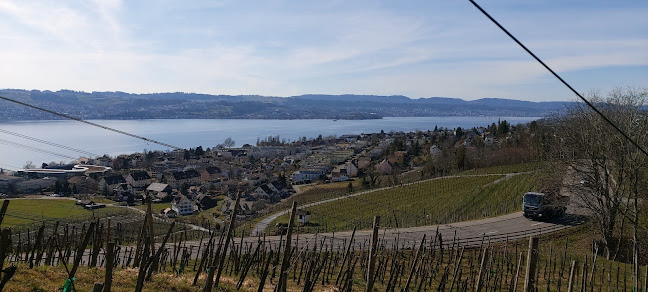 Opinii despre Weingut Rebhalde în Stäfa - Gastronomie und Hotellerie