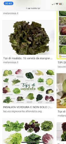 Opinii despre Panariello'S Bar Bistrot Pizzeria în Paradiso - Gastronomie und Hotellerie