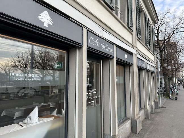 Restaurant Le Cèdre - Bellevue - Zürich