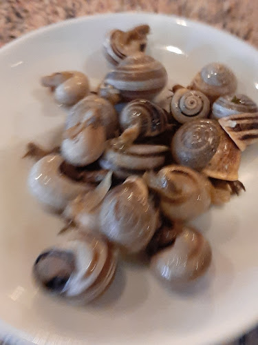 Via Bernardino Luini 18, 6600 Locarno