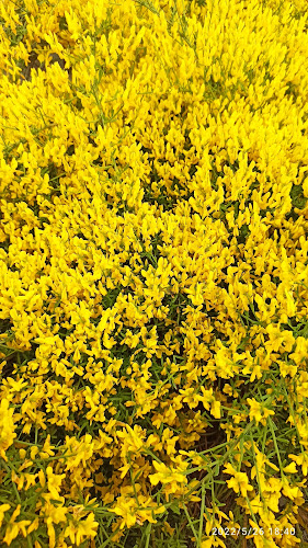 Opinii despre Barriere-Begg în Schwanden - Gastronomie und Hotellerie