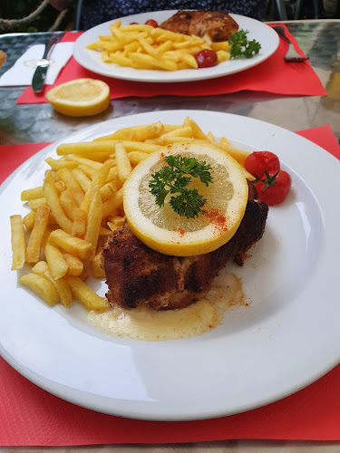 Comentarii opinii despre Fass