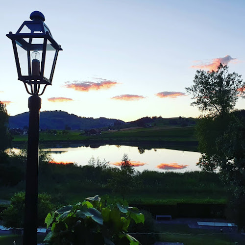 Comentarii opinii despre Erlebnisland Grizzlybär