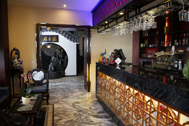 Comentarii opinii despre Dragon