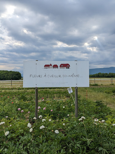 Barbara Bernegger - Nyon