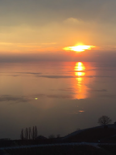 Domaine Vitis Musicalis