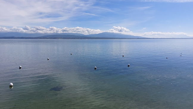 Comentarii opinii despre O' Les Terrasses du Lac - Restaurant