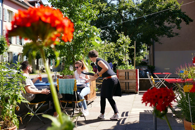 Comentarii opinii despre Provisorium46