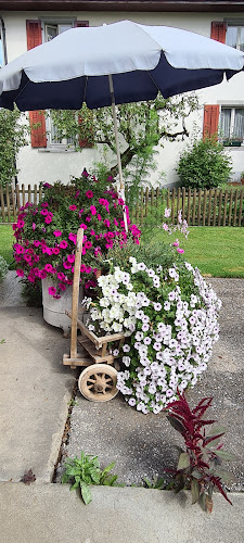 Comentarii opinii despre Stallbeizli, Selbstbedienung