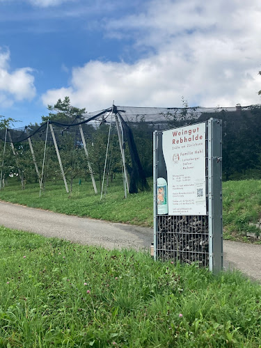 Hintere Püntacherstrasse 25, 8712 Stäfa