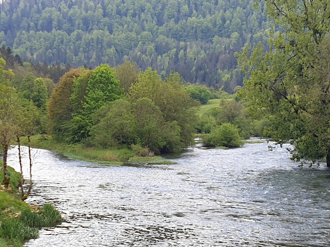Comentarii opinii despre Cachot