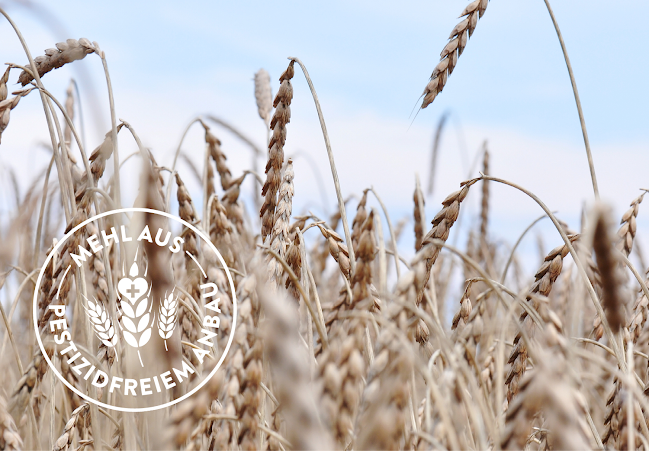 Comentarii opinii despre Fredy's AG - So schmeckt Brot