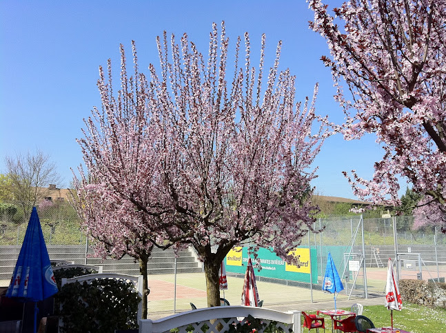 Comentarii opinii despre Restaurant Tennis-Club de Confignon