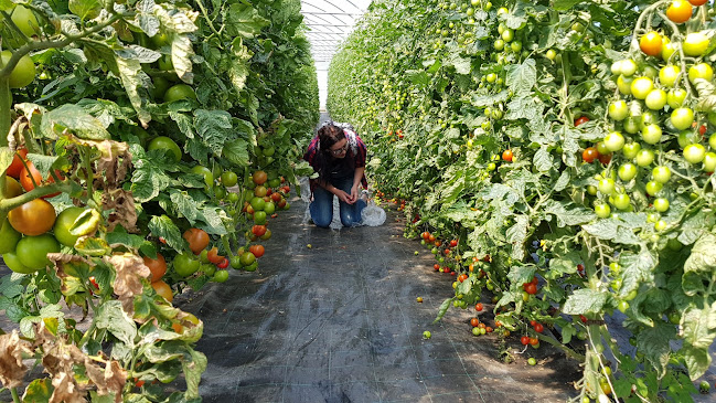 Rte du Rombuet 148, 1616 Attalens