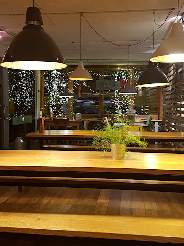 Comentarii opinii despre Crazy Wolf