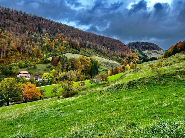 Comentarii opinii despre Bergwirtschaft Dürstel